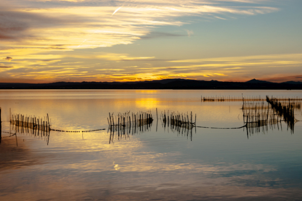 Parque Natural da Albufera